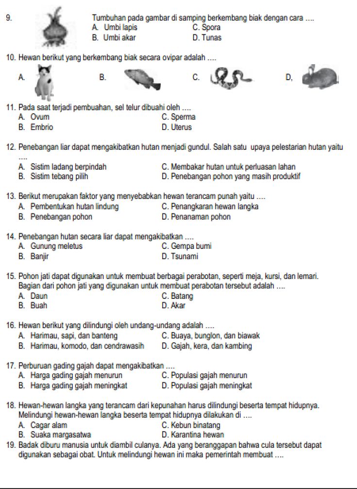 Soal Ipa Kelas 5 Semester 2 Dan Kunci Jawaban 2022 Dalchaebi Soal Ipa Kelas 5 Semester 2 Dan Kunci Jawaban 2022 Dalchaebi